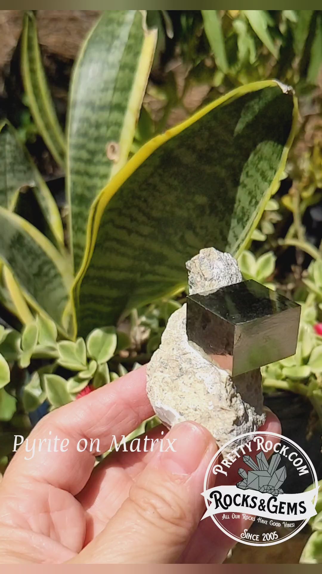 Pyrite - Mineral Specimen - 451 ct - prettyrock.com