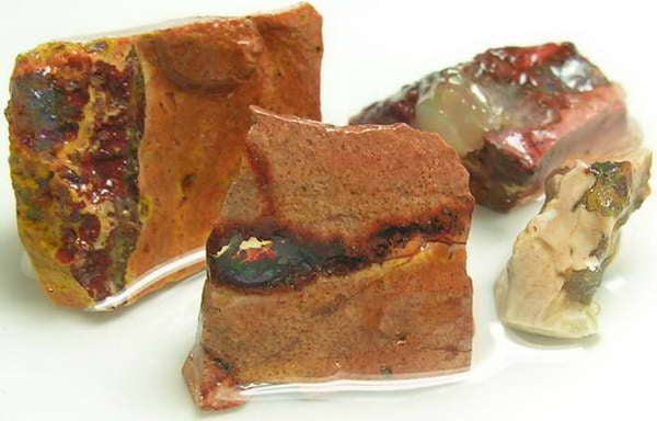 Fire Opal - 23.1ct - Hand Select Gem Rough - prettyrock.com
