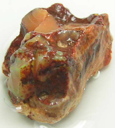 Fire Opal - 18ct - Hand Select Gem Rough - prettyrock.com