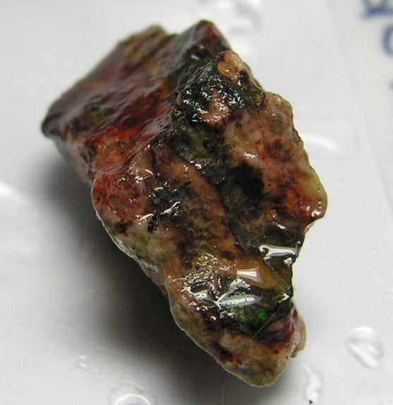 Fire Opal - 20.56ct - Hand Select Gem Rough - prettyrock.com