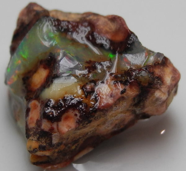 Fire Opal - 17.03ct - Hand Select Gem Rough - prettyrock.com