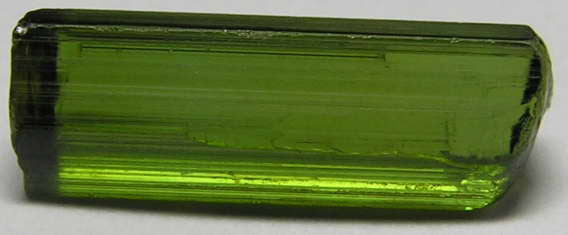 Green Tourmaline - 9.22ct - Hand Select Gem Rough - prettyrock.com