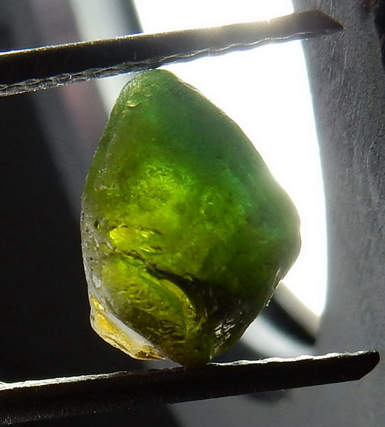 Green Tourmaline - 22.77ct - Hand Select Gem Rough - prettyrock.com