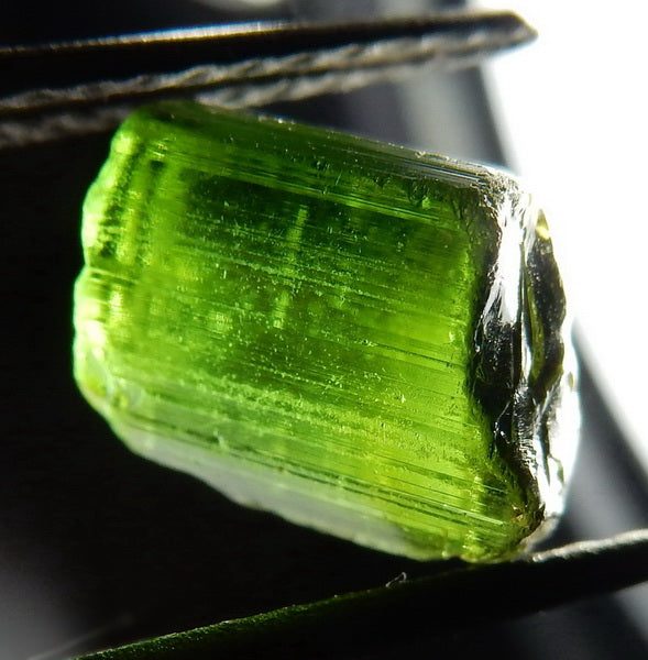 Green Tourmaline - 22.77ct - Hand Select Gem Rough - prettyrock.com