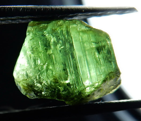 Green Tourmaline - 22.77ct - Hand Select Gem Rough - prettyrock.com