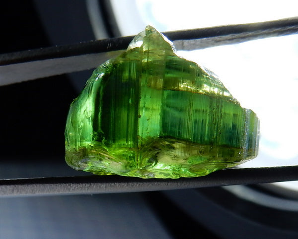 Green Tourmaline - 22.6ct - Hand Select Gem Rough - prettyrock.com