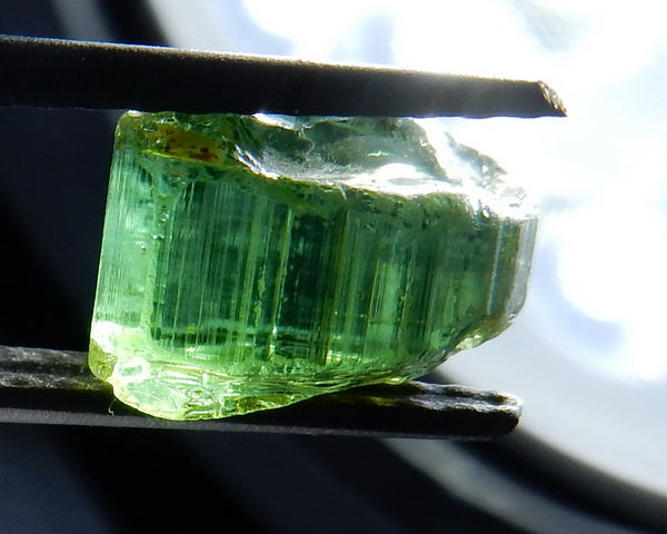 Green Tourmaline - 7.14ct - Hand Select Gem Rough - prettyrock.com