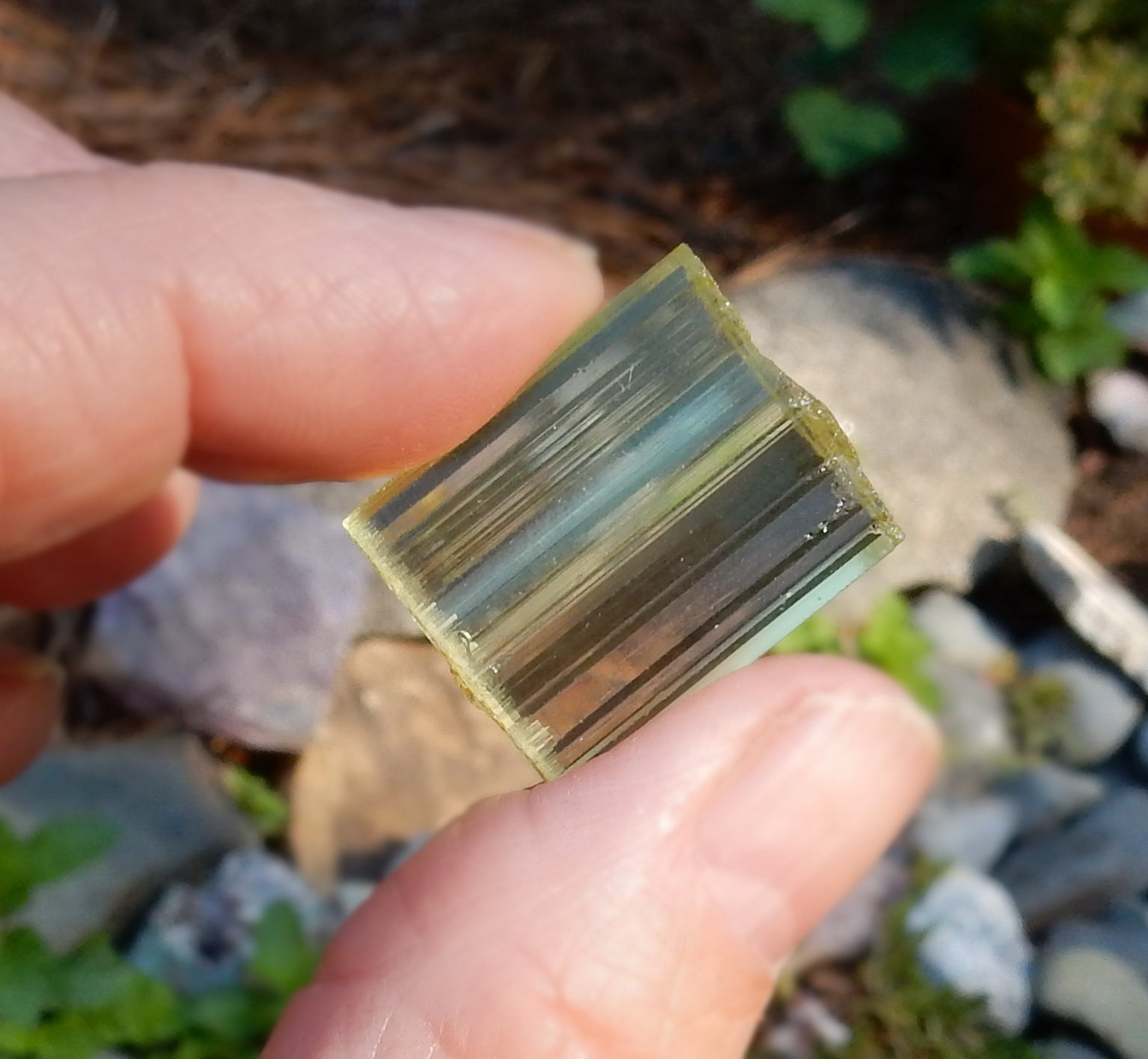 Heliodor Beryl - 21.82ct - Hand Select Gem Rough - prettyrock.com