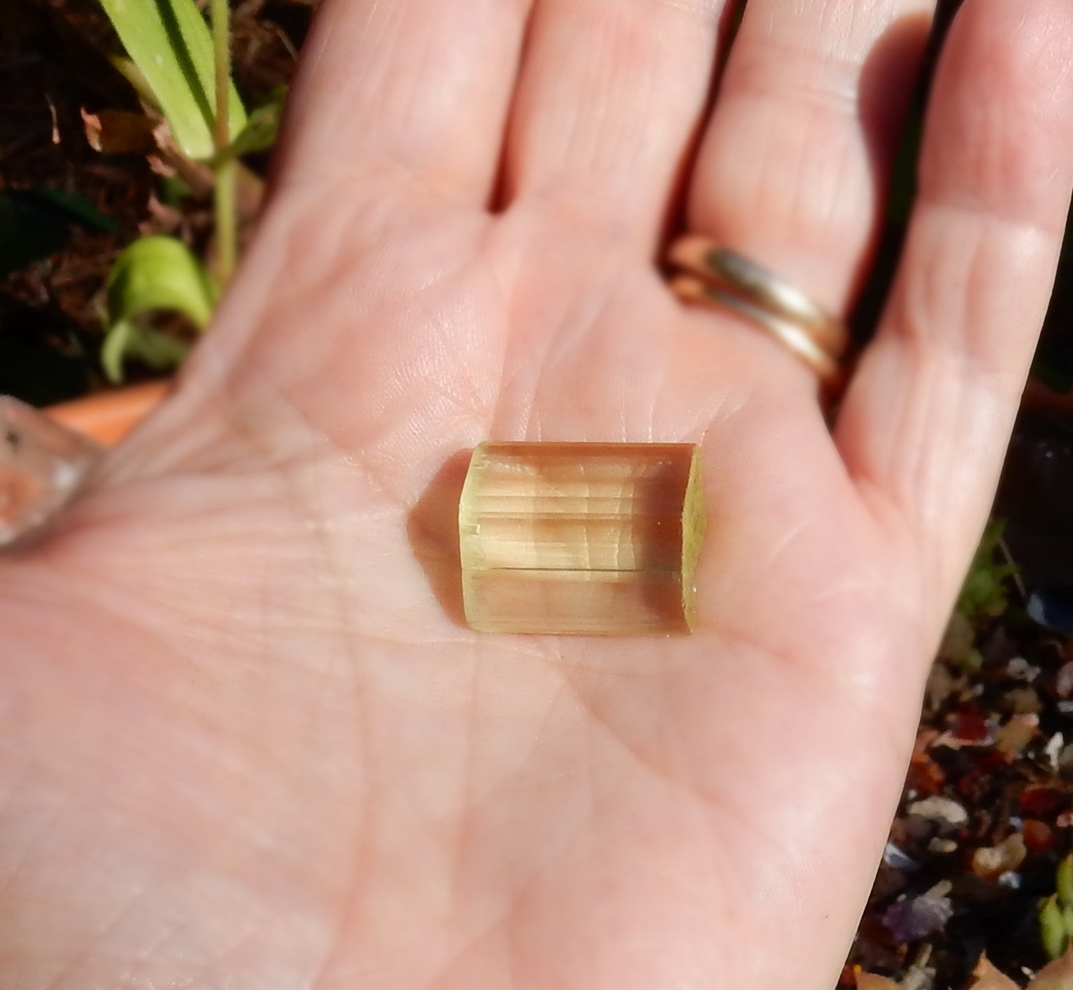 Heliodor Beryl - 21.82ct - Hand Select Gem Rough - prettyrock.com