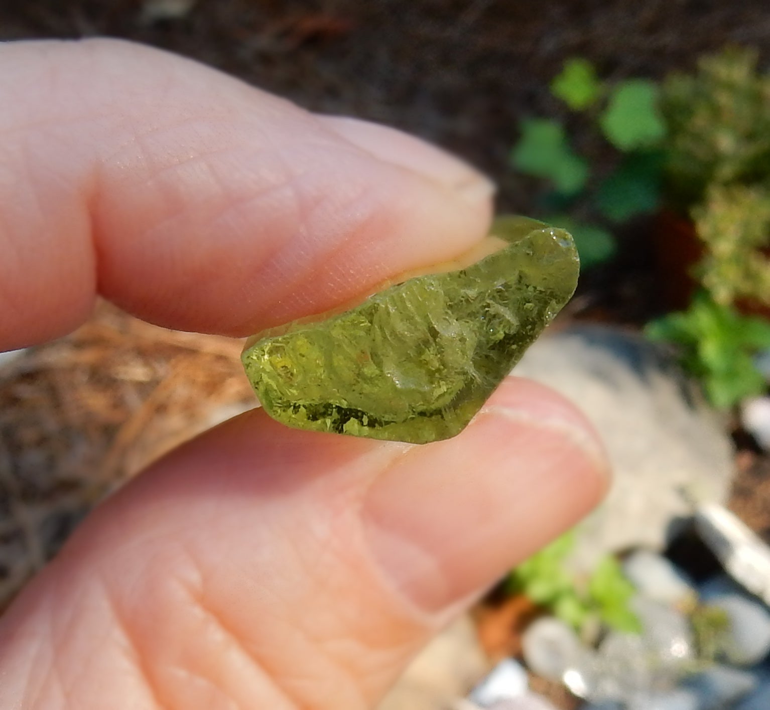 Heliodor Beryl - 21.82ct - Hand Select Gem Rough - prettyrock.com