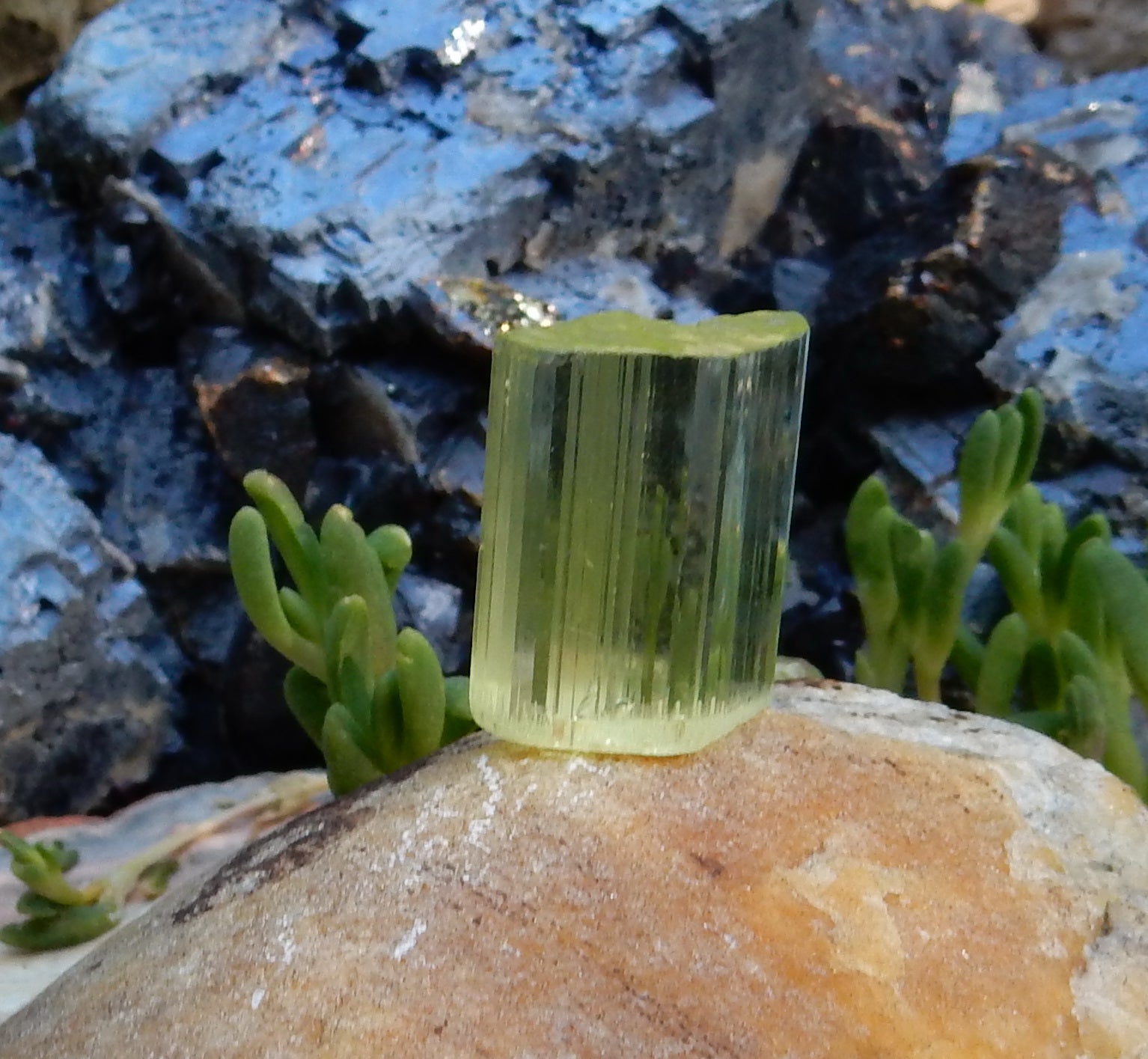 Heliodor Beryl - 21.82ct - Hand Select Gem Rough - prettyrock.com