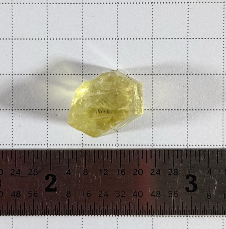 Heliodor Beryl - 8.4ct - Hand Select Gem Rough - prettyrock.com