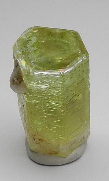 Heliodor Beryl - 60.3ct - Hand Select Gem Rough - prettyrock.com