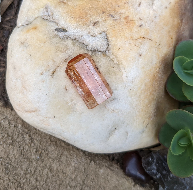 Imperial Topaz - 24.86ct - Hand Select Gem Rough - prettyrock.com