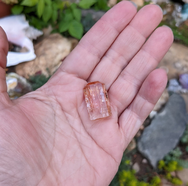 Imperial Topaz - 24.86ct - Hand Select Gem Rough - prettyrock.com