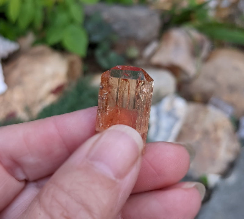 Imperial Topaz - 24.86ct - Hand Select Gem Rough - prettyrock.com