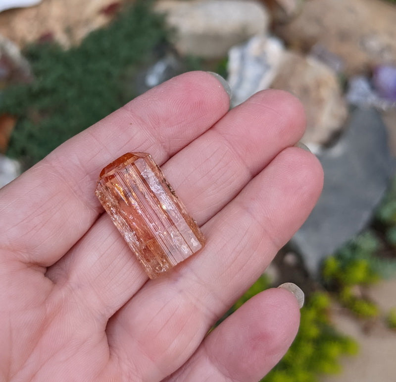Imperial Topaz - 24.86ct - Hand Select Gem Rough - prettyrock.com
