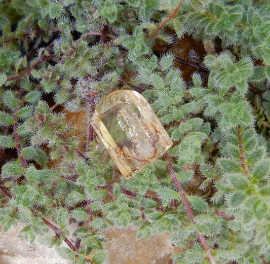 Imperial Topaz - 8.77ct - Hand Select Gem Rough - prettyrock.com