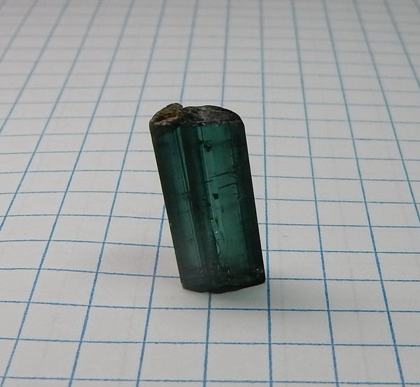 Indicolite Tourmaline - 7.68ct - Hand Select Gem Rough - prettyrock.com