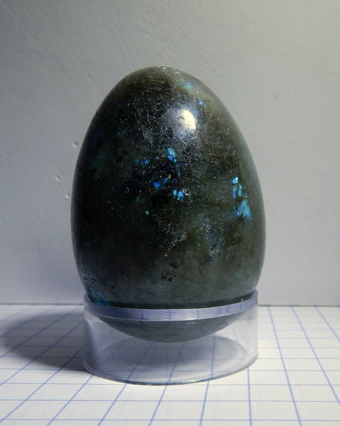 Labradorite Labradorite - 438ct - Polished Egg - prettyrock.com