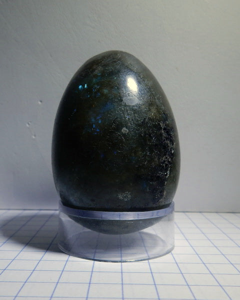 Labradorite Labradorite - 438ct - Polished Egg - prettyrock.com