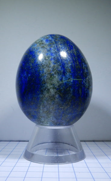 Lapis Lazuli - 643ct - Polished Egg - prettyrock.com