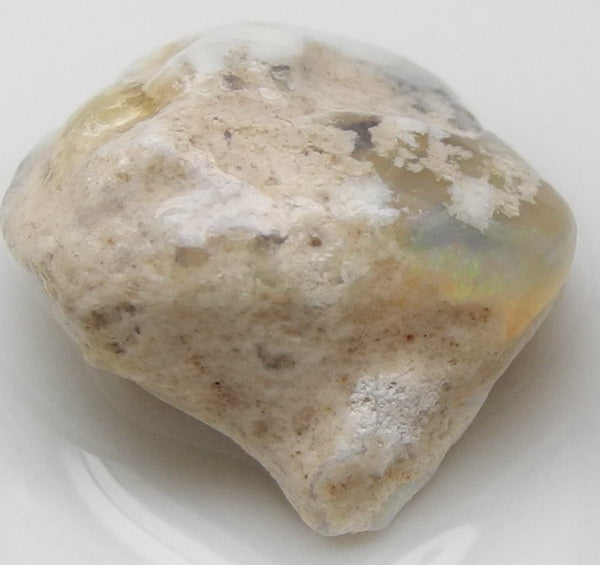 Lightning Ridge Opal - 13.29ct - Hand Select Gem Rough - prettyrock.com