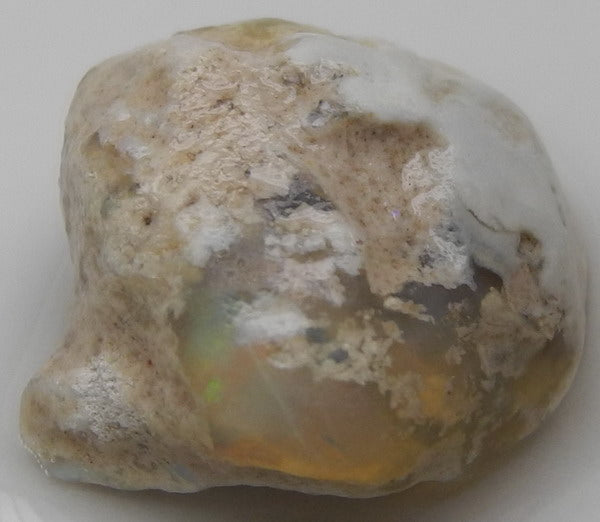 Lightning Ridge Opal - 13.29ct - Hand Select Gem Rough - prettyrock.com