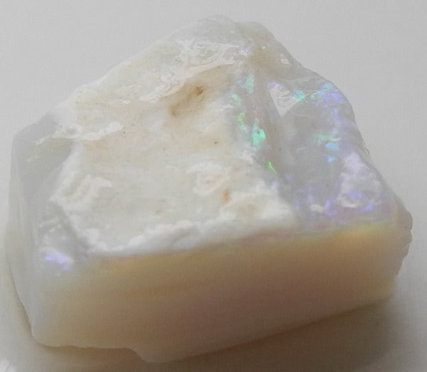 Lightning Ridge Opal - 12.89ct - Hand Select Gem Rough - prettyrock.com