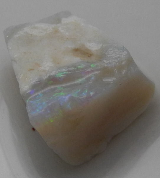 Lightning Ridge Opal - 12.89ct - Hand Select Gem Rough - prettyrock.com