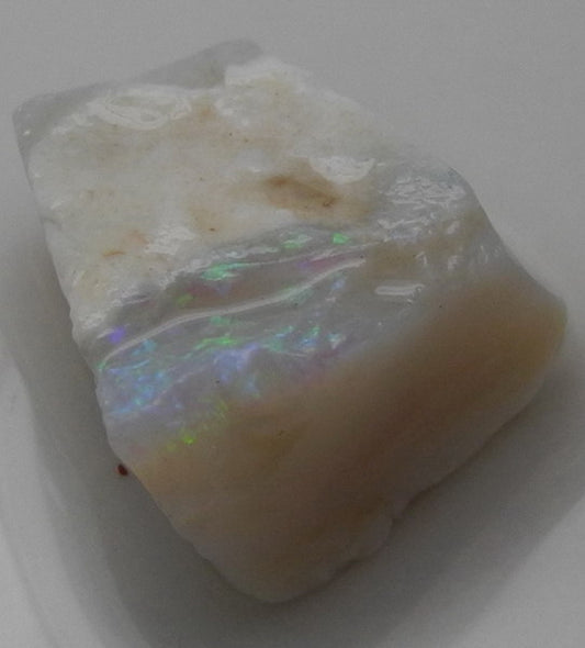 Lightning Ridge Opal - 12.89ct - Hand Select Gem Rough - prettyrock.com
