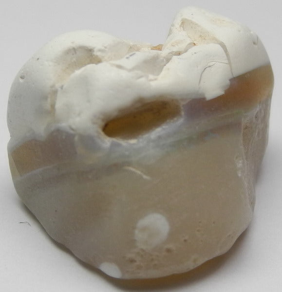 Lightning Ridge Opal - 29.5ct - Hand Select Gem Rough - prettyrock.com