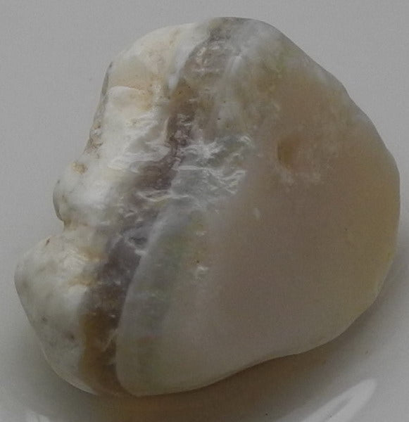 Lightning Ridge Opal - 29.5ct - Hand Select Gem Rough - prettyrock.com