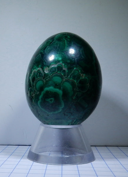 Malachite - 599.5ct - Polished Egg - prettyrock.com