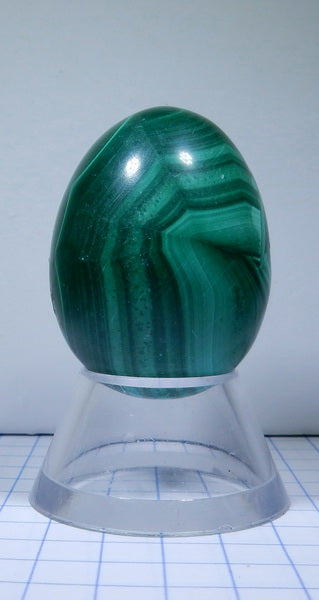 Malachite - 312ct - Polished Egg - prettyrock.com