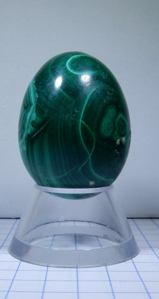 Malachite - 312ct - Polished Egg - prettyrock.com