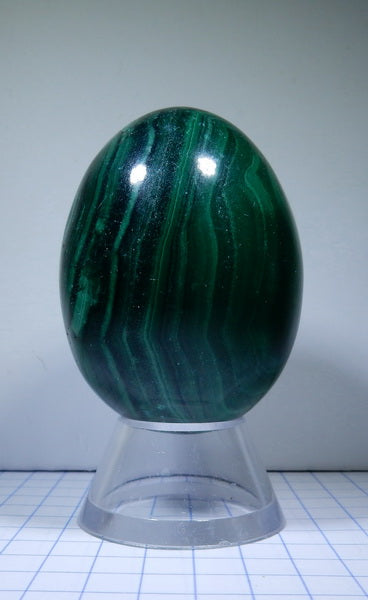 Malachite - 743ct - Polished Egg - prettyrock.com