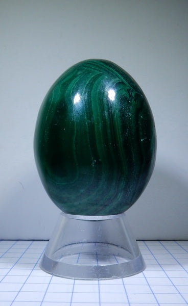 Malachite - 743ct - Polished Egg - prettyrock.com