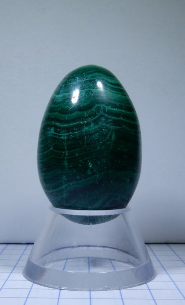 Malachite - 266ct - Polished Egg - prettyrock.com