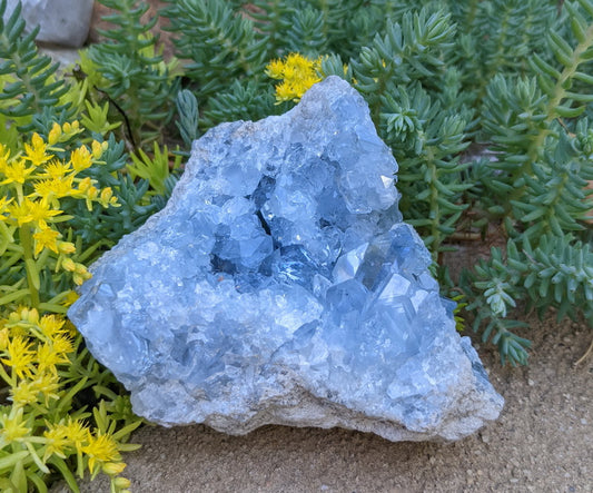 Celestite - Mineral Specimen - prettyrock.com