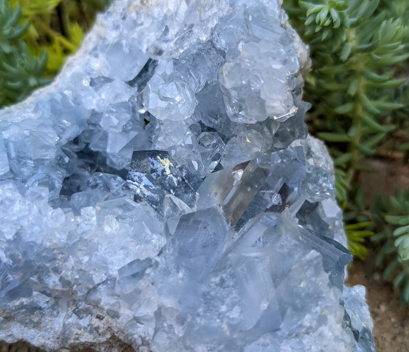 Celestite - Mineral Specimen - prettyrock.com