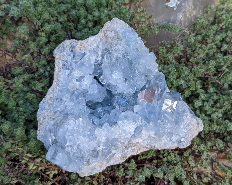 Celestite - Mineral Specimen - prettyrock.com