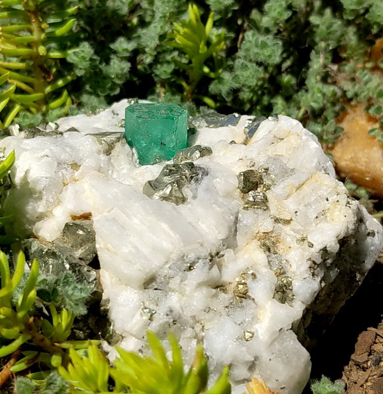 Emerald and Pyrite - Mineral Specimen - prettyrock.com