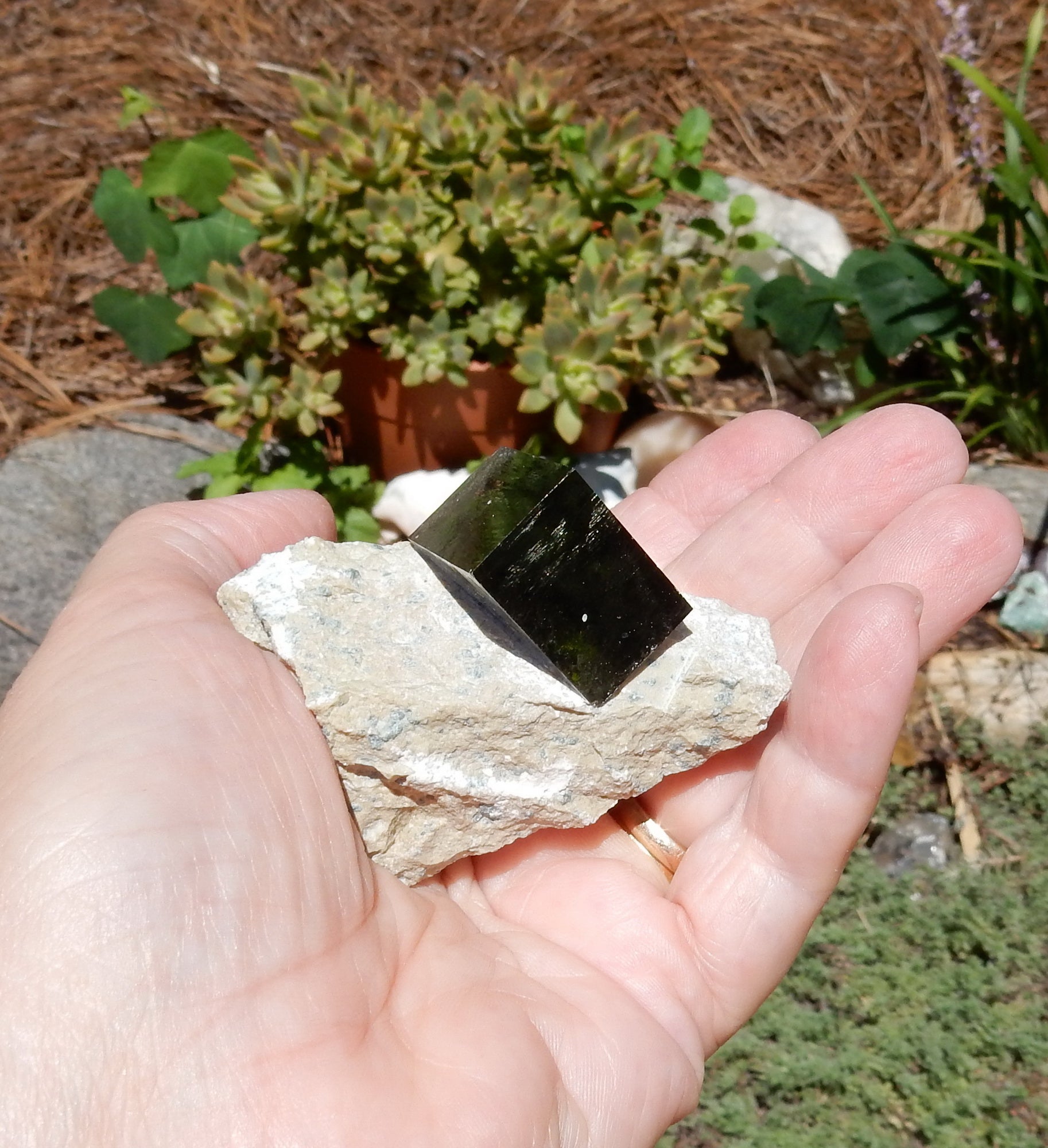 Pyrite - Mineral Specimen - 451 ct - prettyrock.com