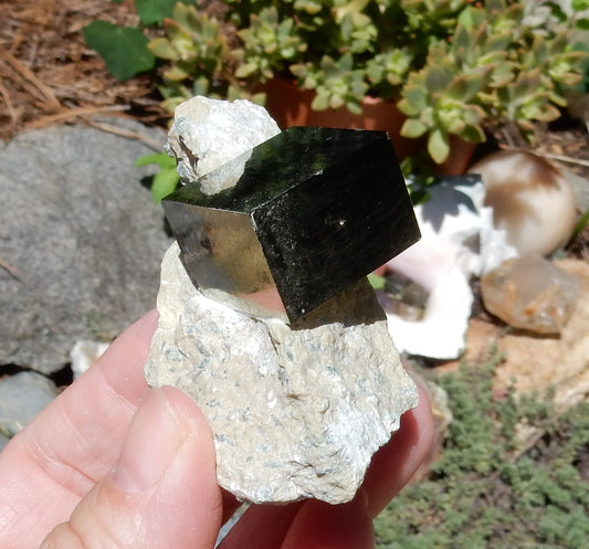 Pyrite - Mineral Specimen - 451 ct - prettyrock.com