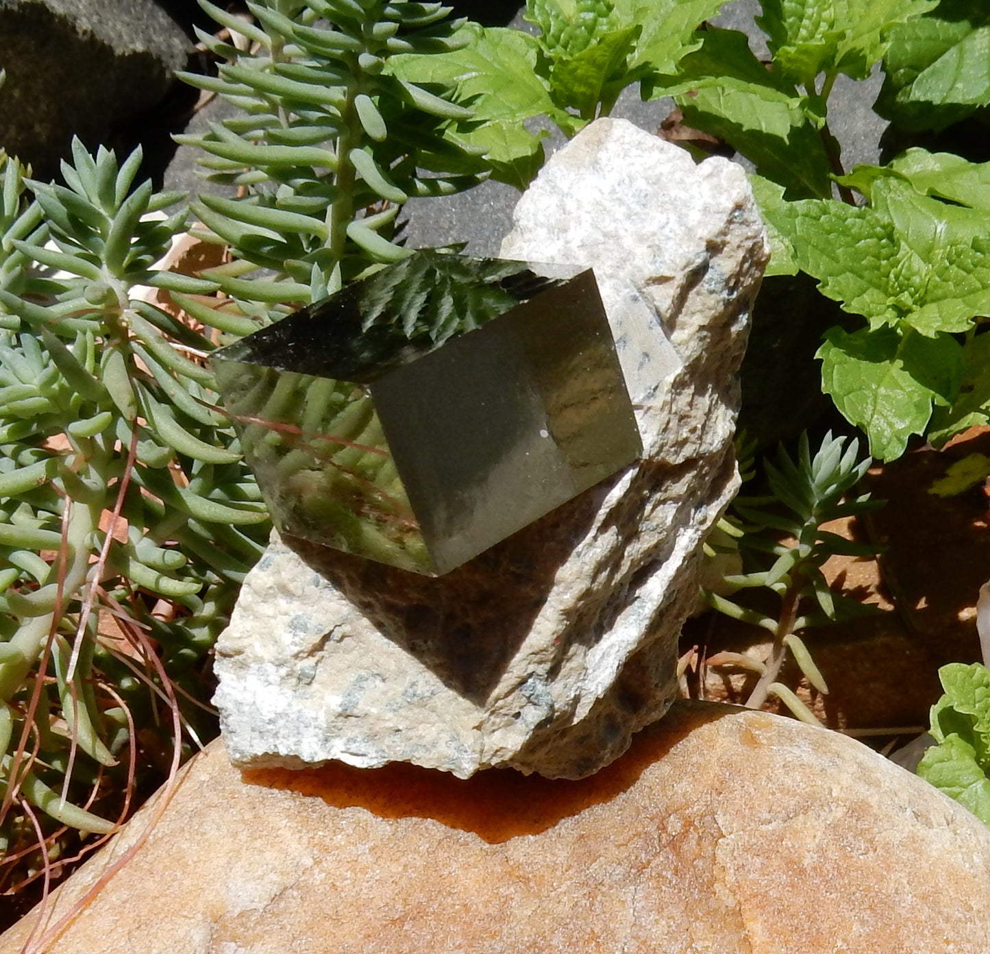 Pyrite - Mineral Specimen - 451 ct - prettyrock.com