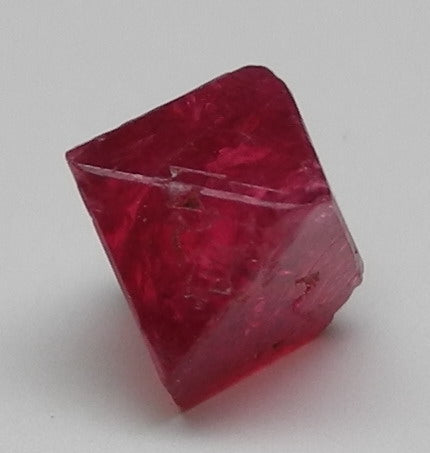 Noble Red Spinel - 1.53ct - Hand Select Gem Rough - prettyrock.com