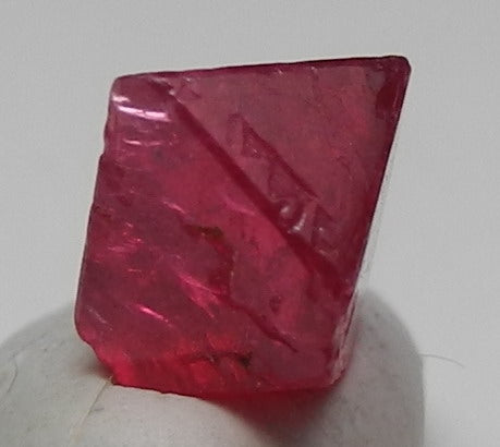 Noble Red Spinel - 1.53ct - Hand Select Gem Rough - prettyrock.com