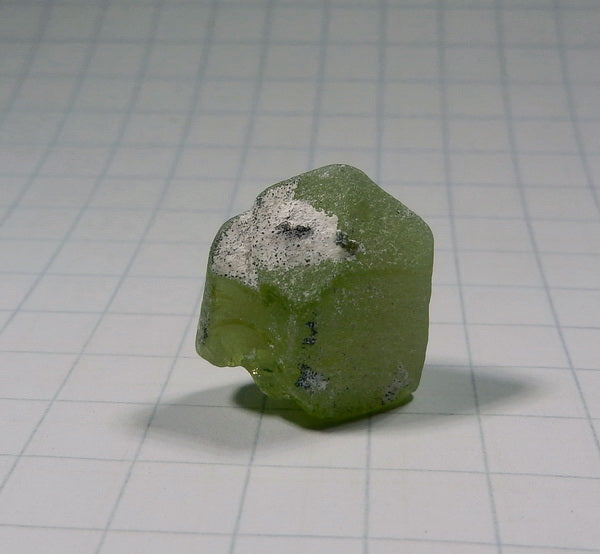 Peridot - 12.2ct - Hand Select Gem Rough - prettyrock.com