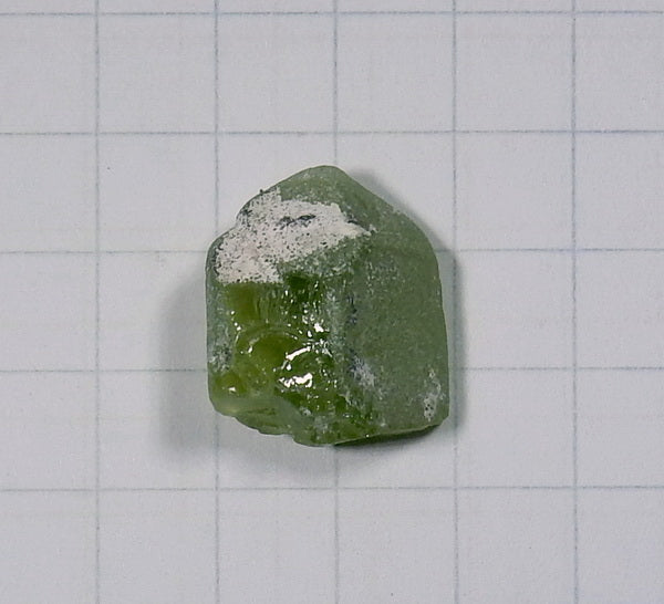 Peridot - 12.2ct - Hand Select Gem Rough - prettyrock.com